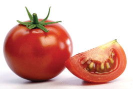 گوجه فرنگی
