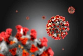 راهنمای بهداشتی نگهداری و آماده سازی مواد غذایی برای مقابله با کرونا